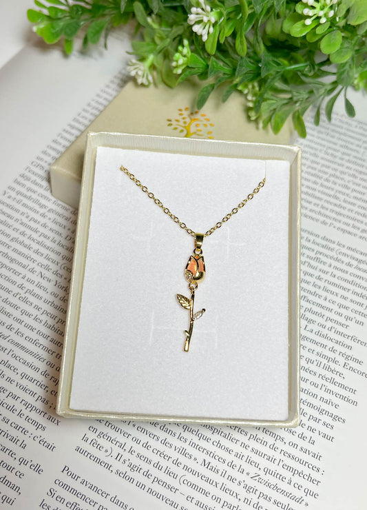 Collares (Modelo a elección del cliente)